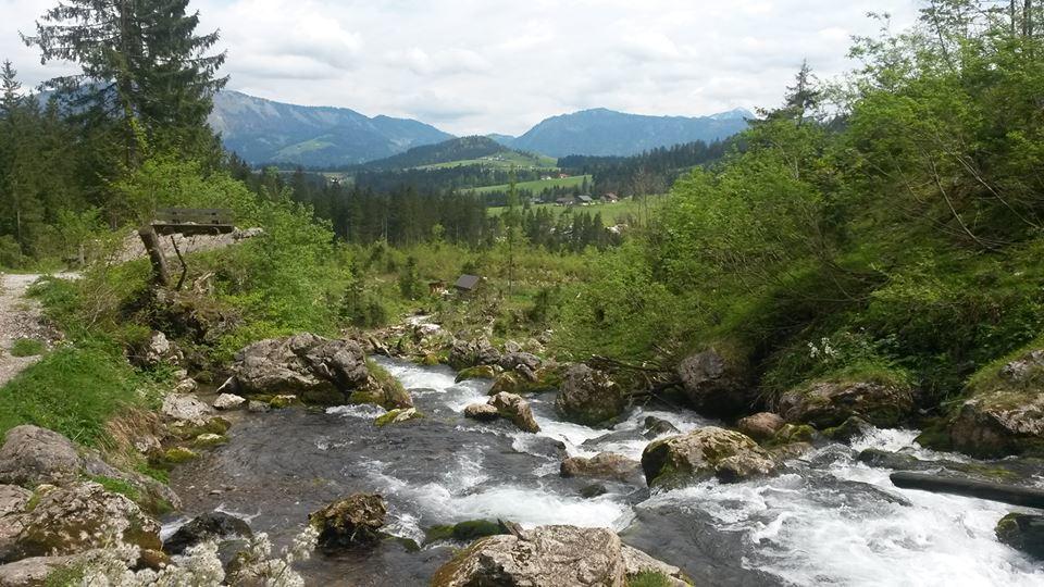 Ferienhaus Marianne Abtenau Zewnętrze zdjęcie